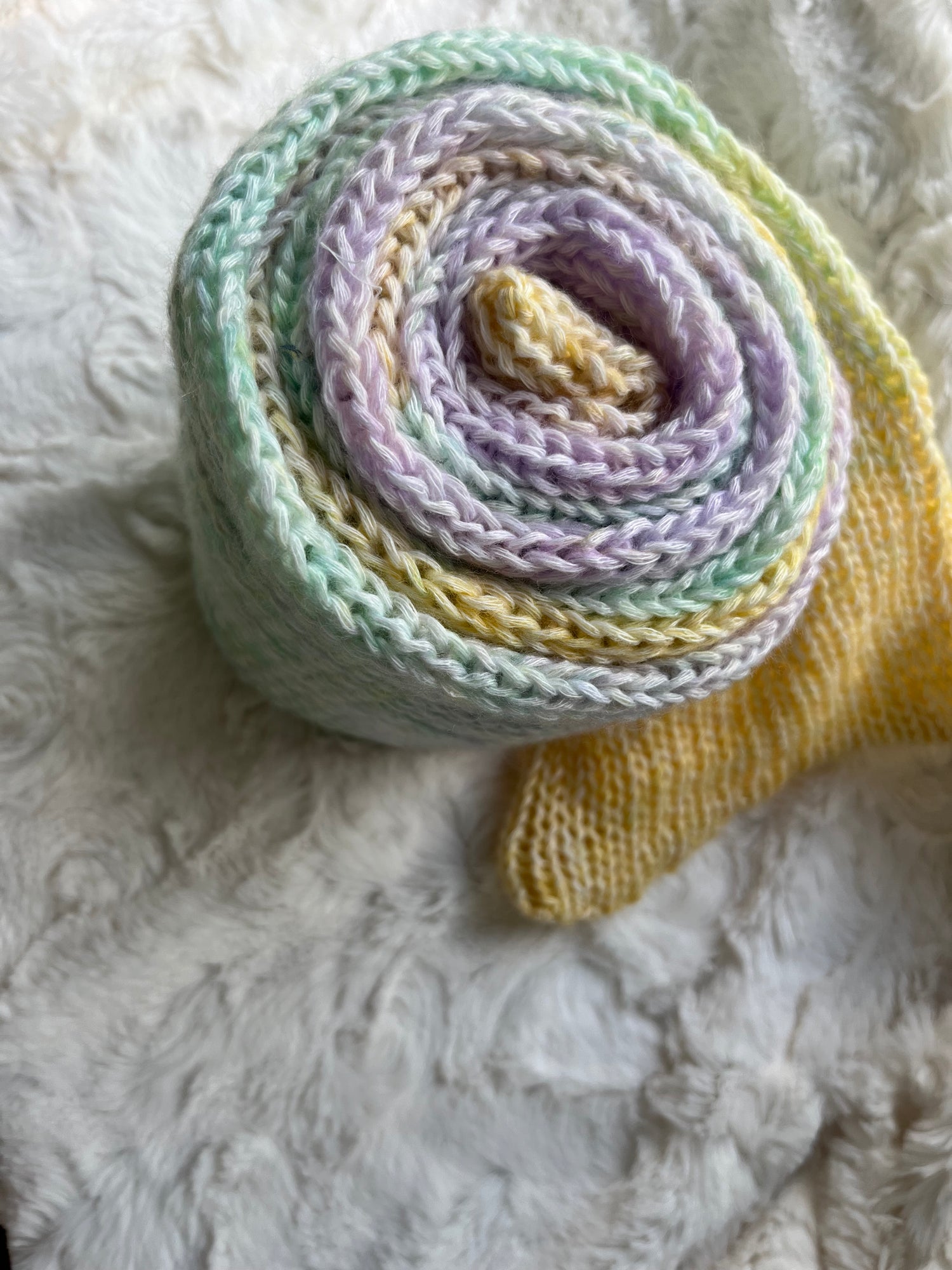 Fall & Winter Collection